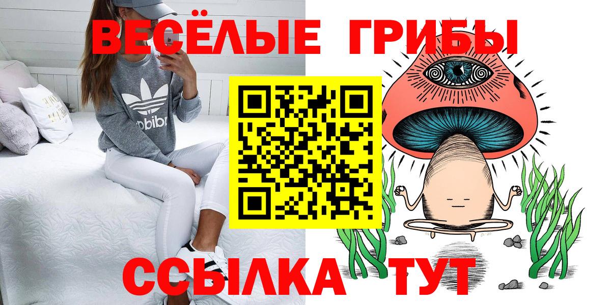 где купить наркоту  Вход с VPN  Дербент  Галлюциногенные грибы Psilocybine cubensis 